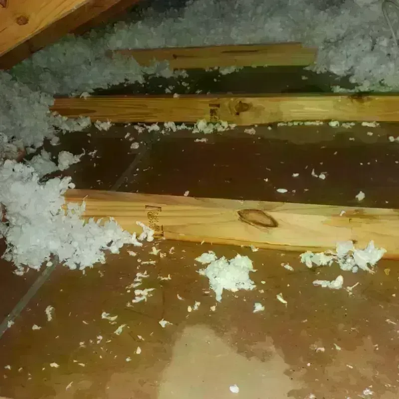 Attic Water Damage in Daly City, CA