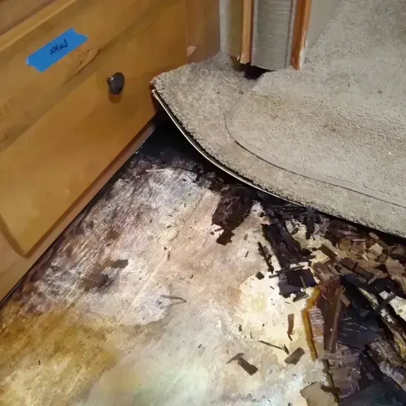 Wood Floor Water Damage in Daly City, CA